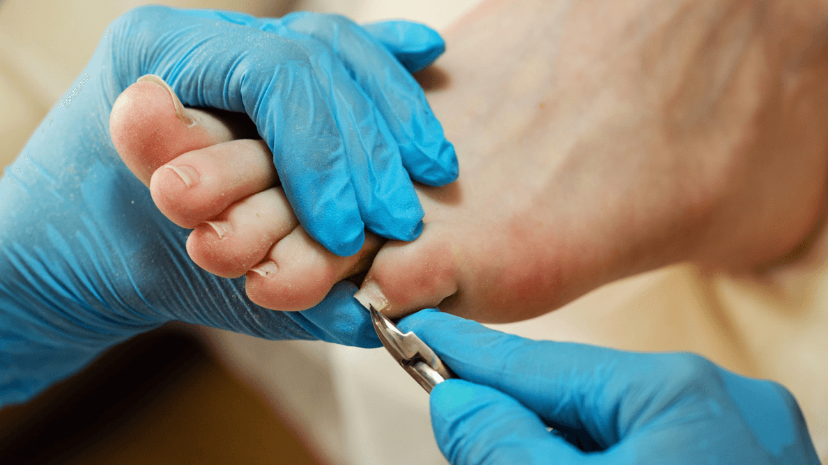 Schermafbeelding 2023-06-02 om 13.49.53